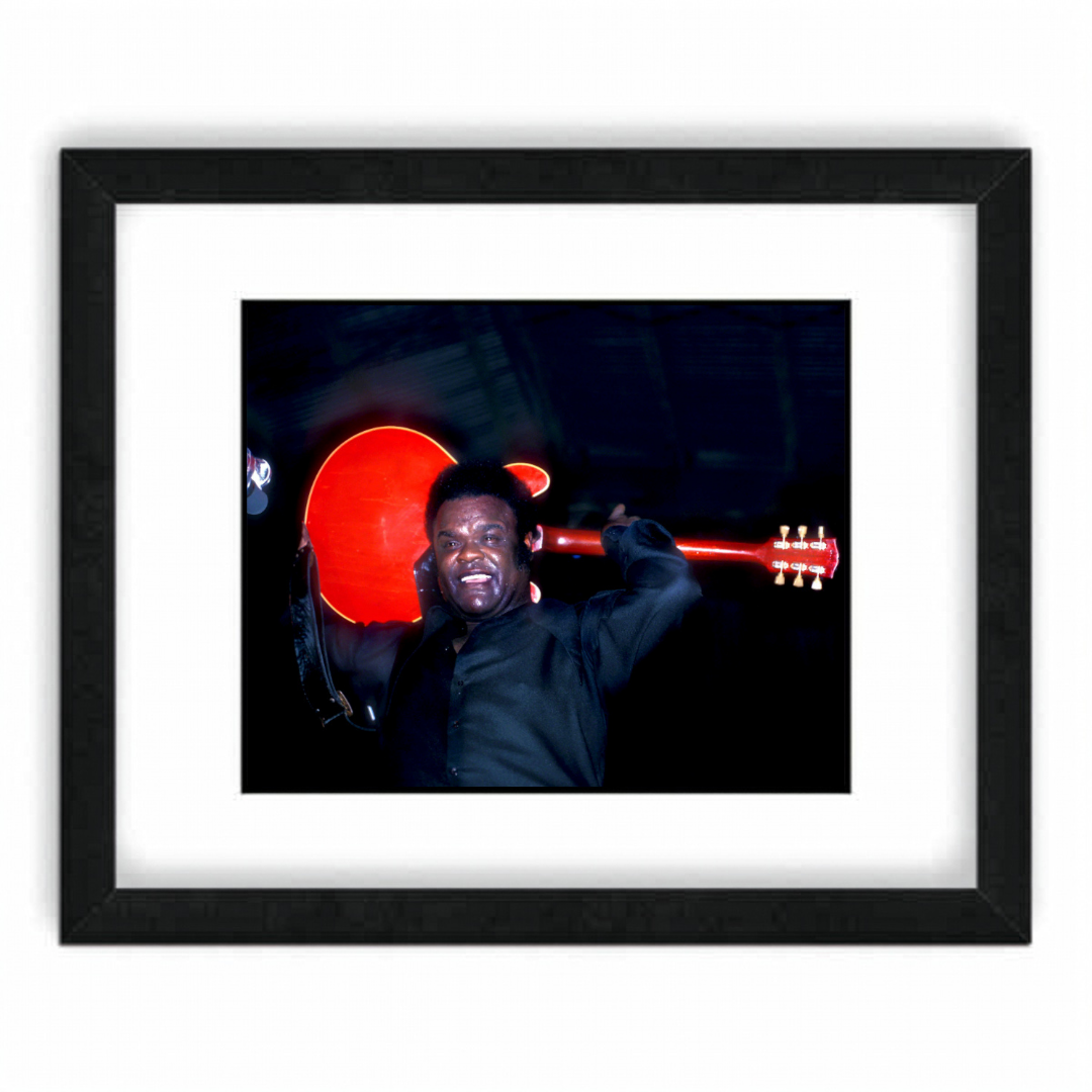 Freddie King - Scott Newton Print