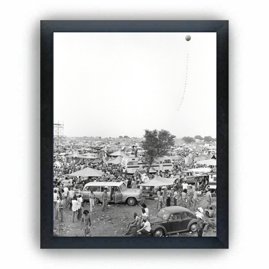 Fourth of July Picnic - Scott Newton Print