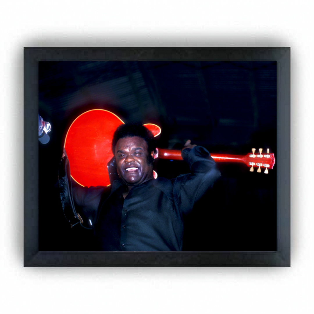 Freddie King - Scott Newton Print