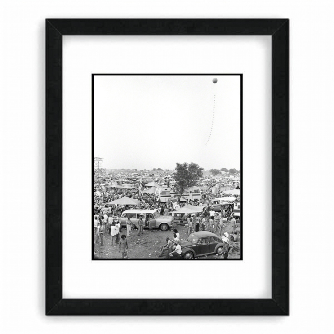 Fourth of July Picnic - Scott Newton Print